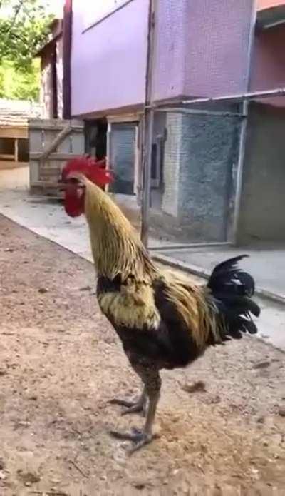 My own strength frightens me!