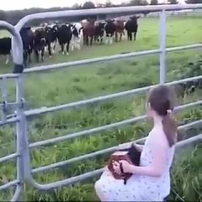 Language of the soul.