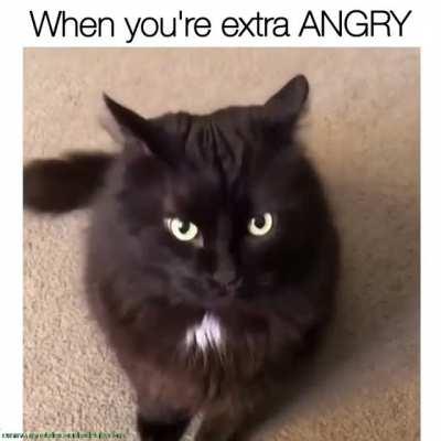 When you're extra ANGRY