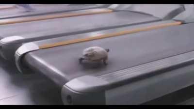 Guess thats how he beat the Rabbit