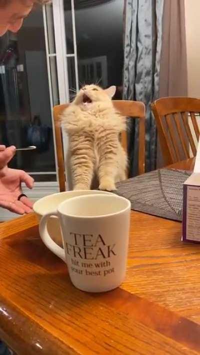 Malfunction in 3,2,1