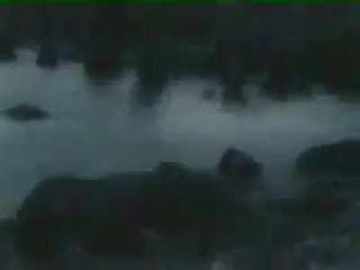 Дичь. Нашел старую кассету, оцифровал и решил поделиться.