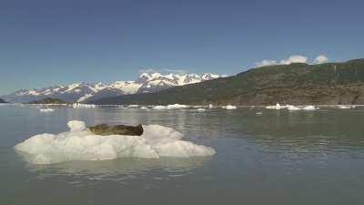 What a day! Sun, sea and mountains. Maybe I'll go fishing after this nap