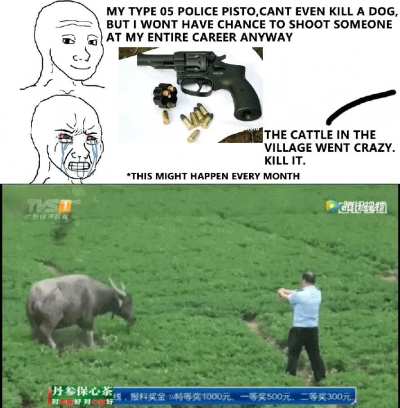 Chinese police pistol paradox