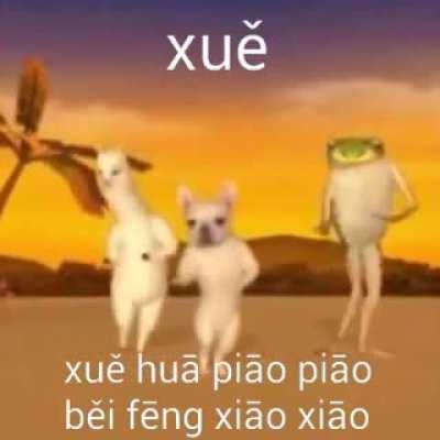 neve tremulejando vento do norte