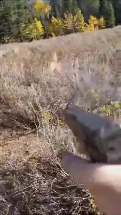 What is the opposite of pspspsps?