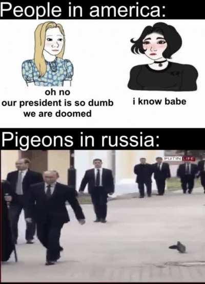 You can't be in Russia and not respect putin