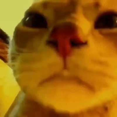 Krl esse som ta muito bom