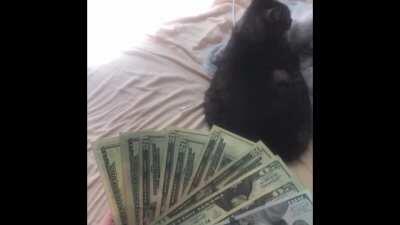 spittin bars ✊😤✊