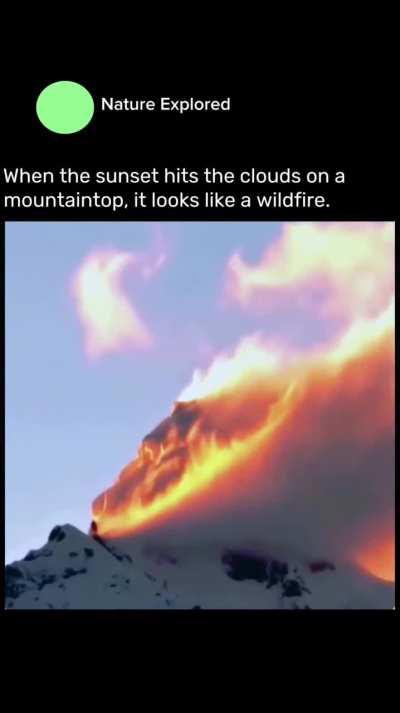 I honestly first thought it was fire