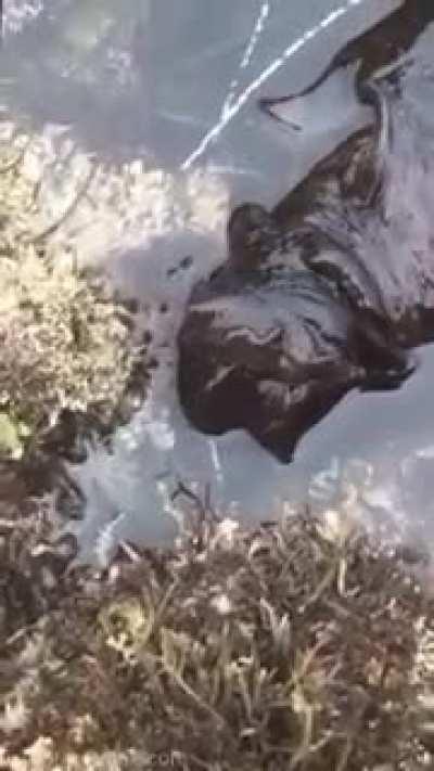 'this is who when you ask who is there'