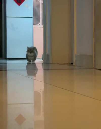 Being chased by your own baby 😂