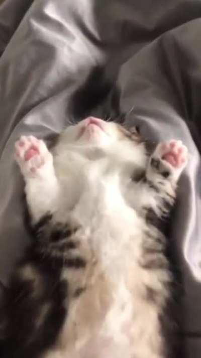 Сладкие сны