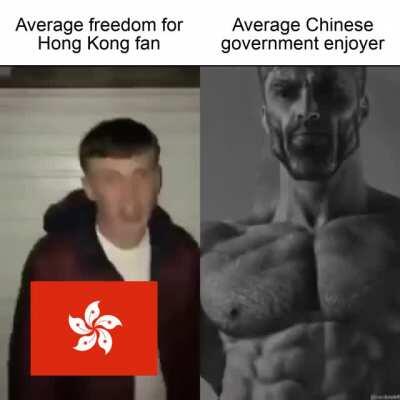 Average Chinese government enjoyer