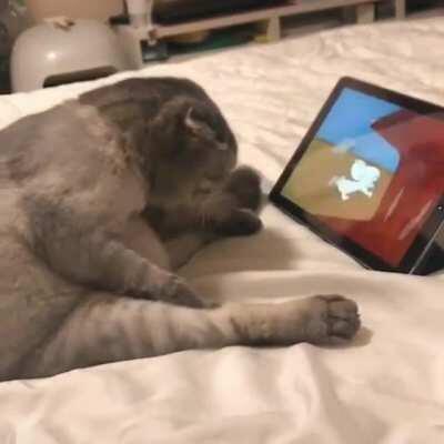 It's a giant fish AND a mouse?!?!