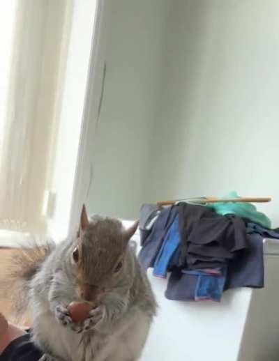 Iâm not hungry Iâll save for later.