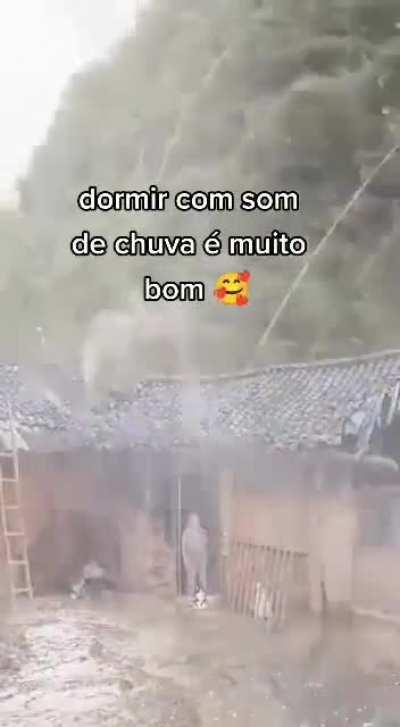 chiquin gavião exta cum fomi