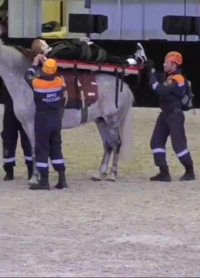 What could go wrong using a horse as an emergency vehicle.