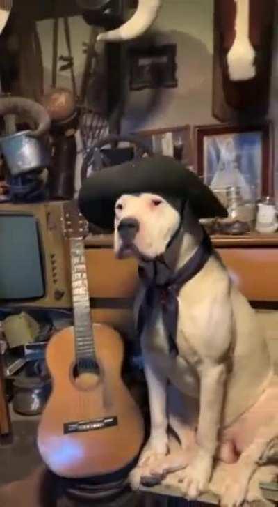 Cuando sos orgulloso de ser ARGENTINO.