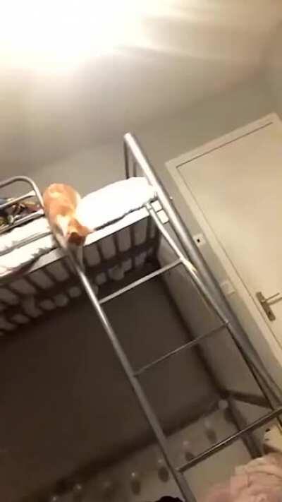 Yes, I admit it I am a Derp! but I do it with style