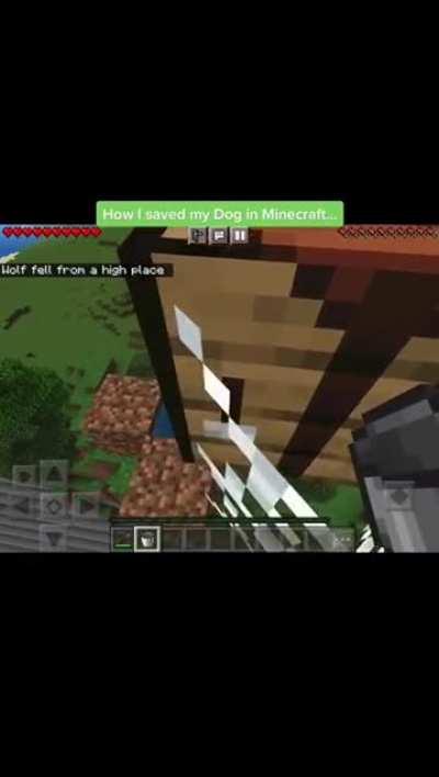 How to save your dog tutorial 101