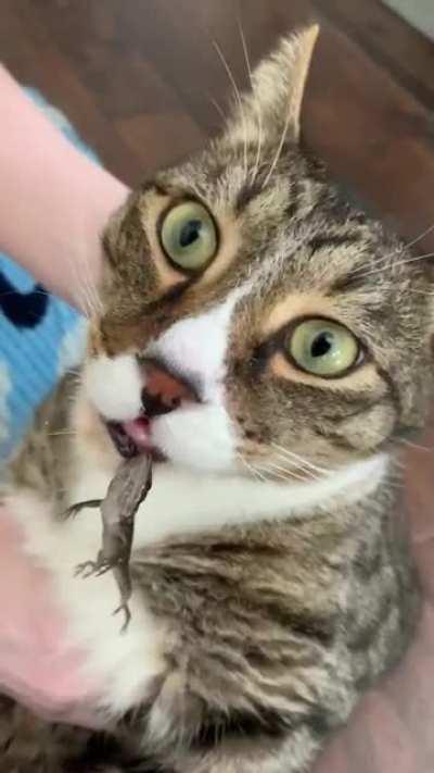 The lizard fought back