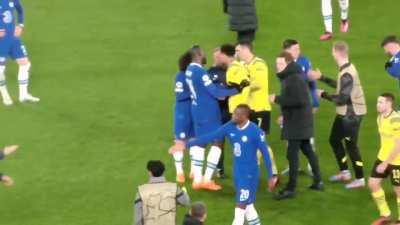 Bellingham shoving Cucu post match