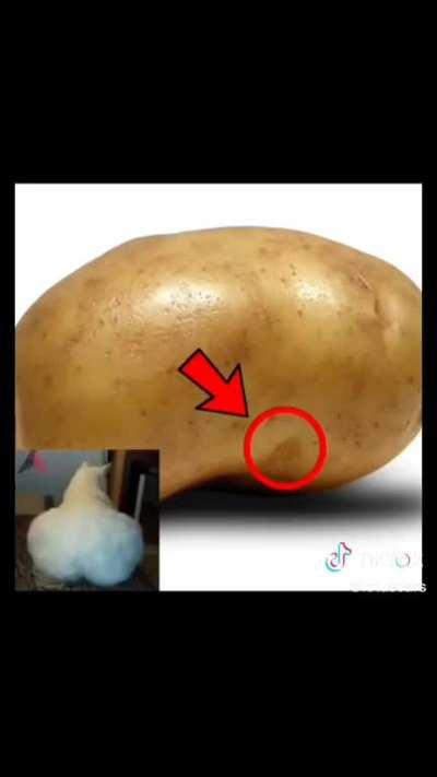 real potato vs fake potato