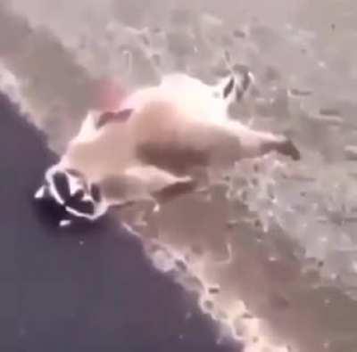 Hope he gets well soon 😔 🙏