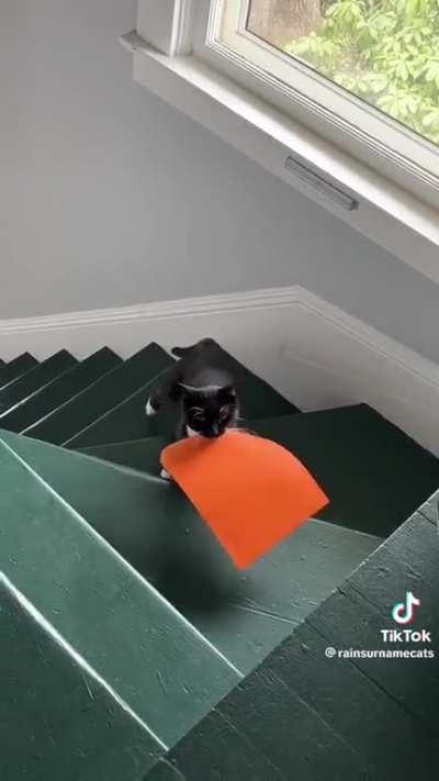 Harpo bringing paper gifts