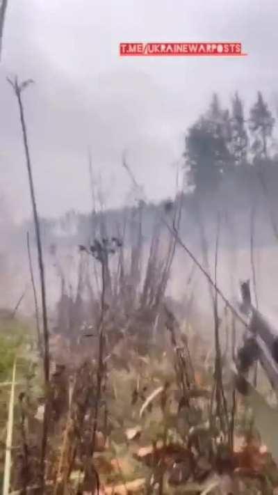 Ukrainian assault unit firing on Russian position during current counteroffensive