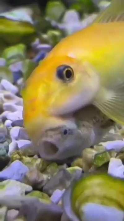 What’s happening here?