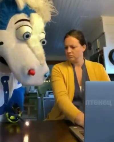 HAHAHAHAHHAHAHAHAHAHAHHA