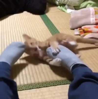 Look at me growing up!