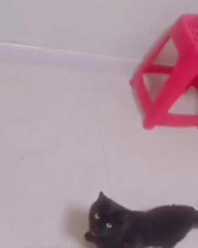 no comments, happy new year everyone