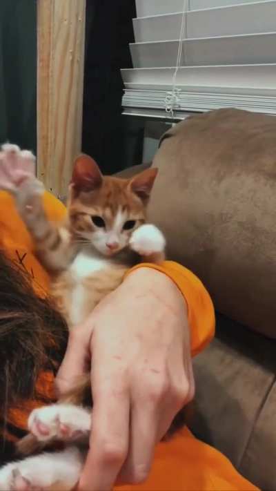 Max always starts the day with a warm-up