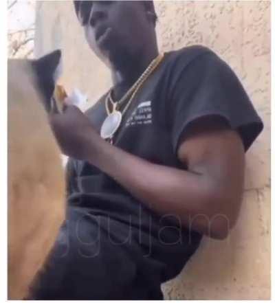 Babidi renasceu racista 