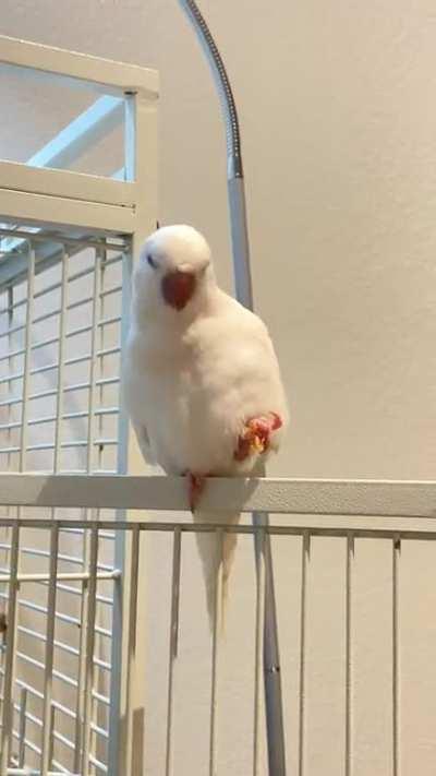 Yummy croissant 🥐