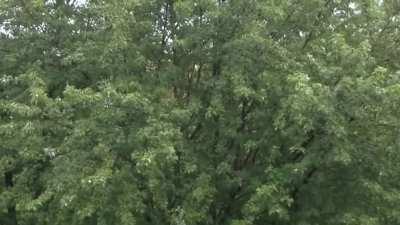 An afternoon shower in the midwest. This is my kind of weather.