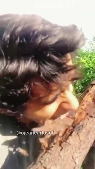 Acho que repost *lmfao ironicamente*