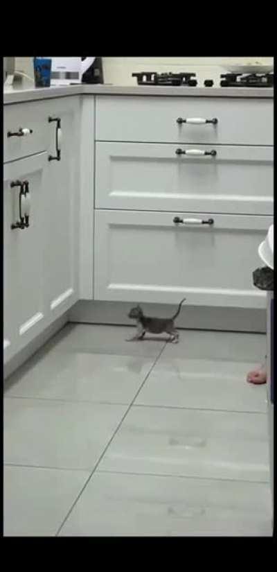 'The criminal is getting there, prepare the bait'.