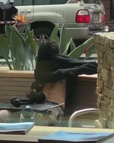 I love getting high. Oh shit oh shit OH SH.