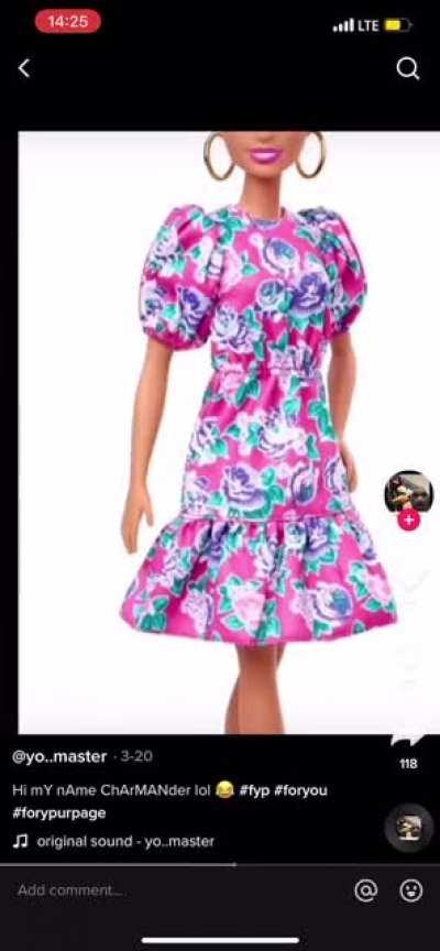 My Name’s Charmander pt. 2, 3 & 4