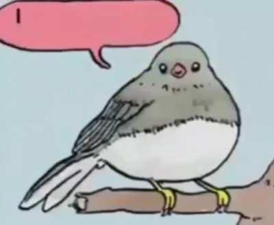 Cursed_truth(about us)