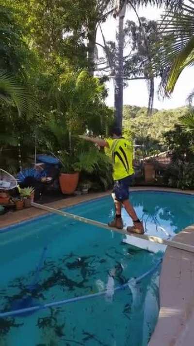 Board walk across a pool