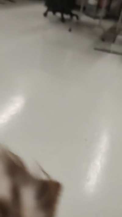 Somebody's feeling playful