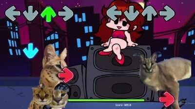 I saw a lot of people create video concepts of floppa in FNF, so I made a (very scuffed) mod. Enjoy!