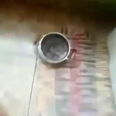 Feijão feito de pedra