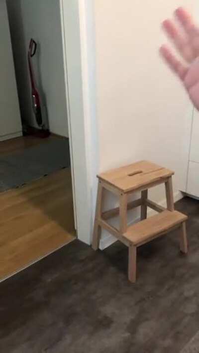 How to summon a Beagle