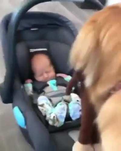 Do you want to see my monkey?